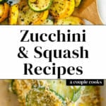 Zucchini and Squash Recipes