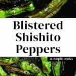 Blistered Shishito Peppers