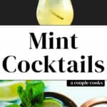 Mint Cocktails