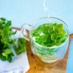 How to make oregano tea