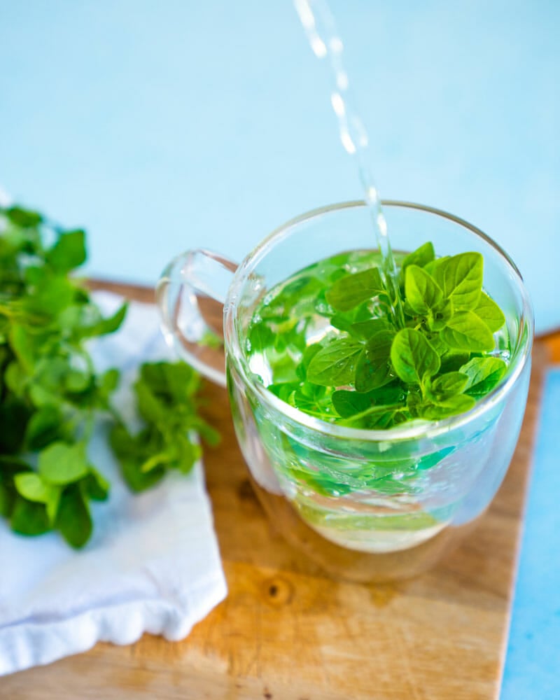 How to make oregano tea