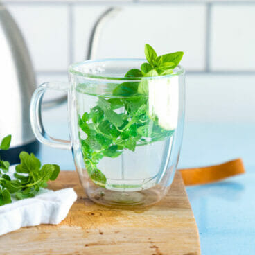 Oregano tea