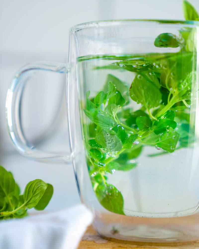 Oregano tea