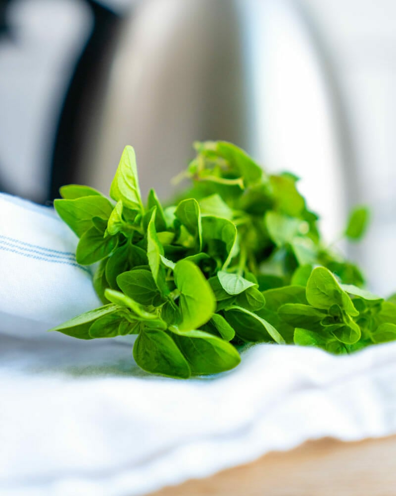 Fresh oregano