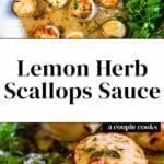 Sauce for Scallops