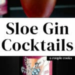 Sloe Gin Cocktails