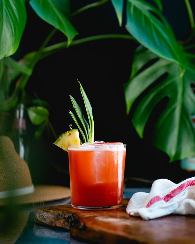 Jungle bird 