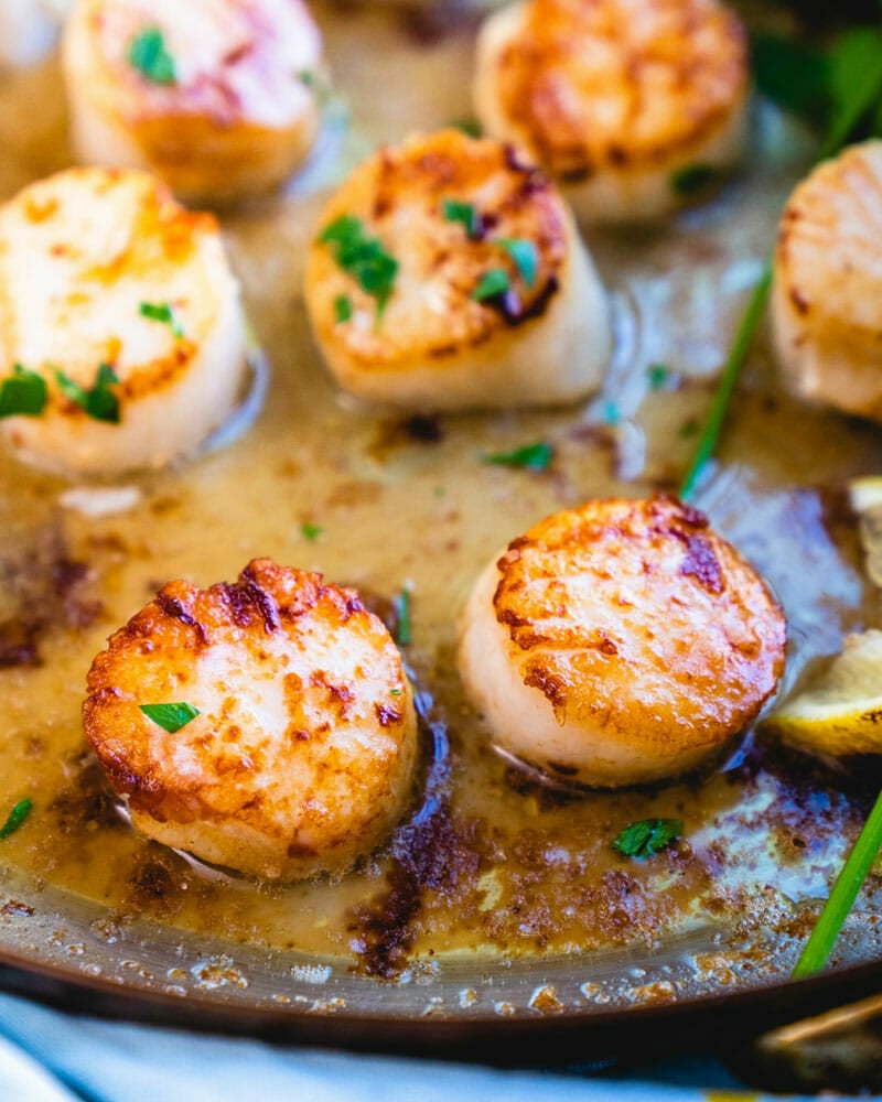 What to serve with scallops