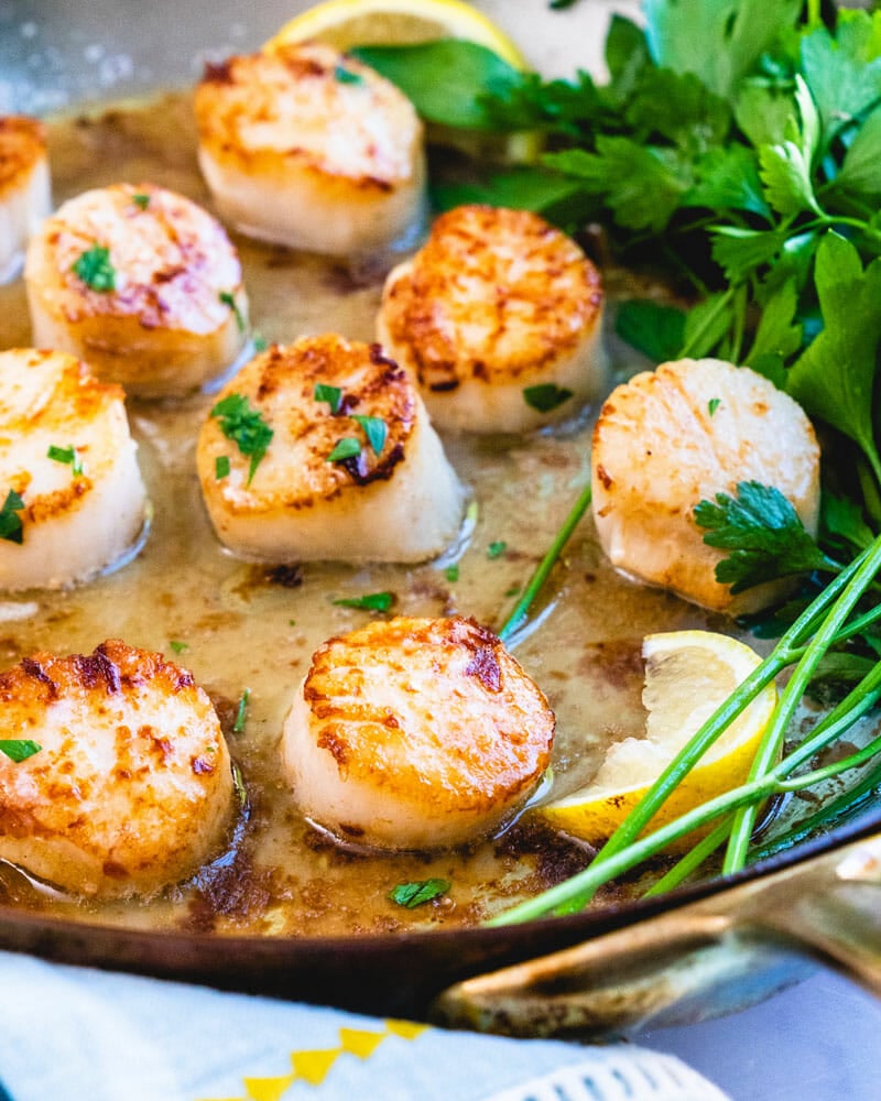 Pan seared scallops
