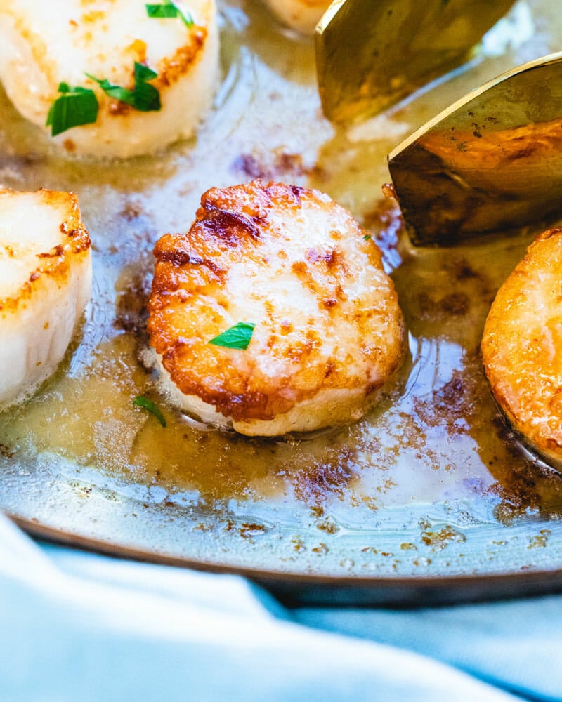 Pan seared scallops