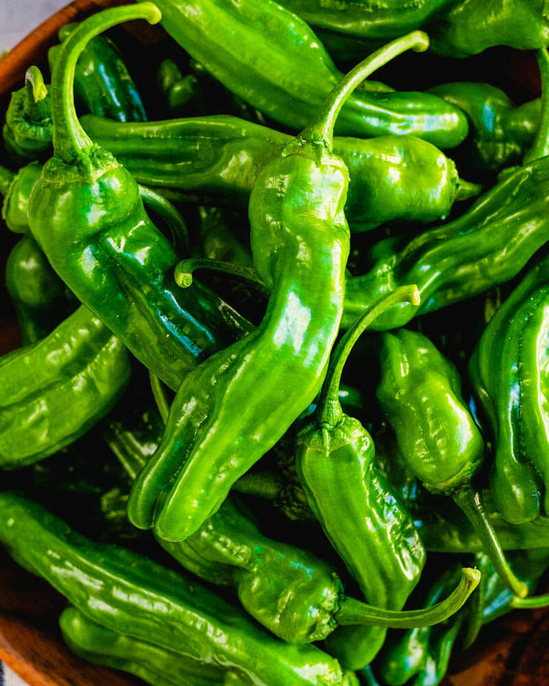 What are shishito peppers