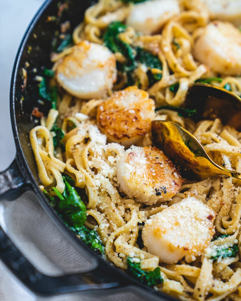 Scallop pasta