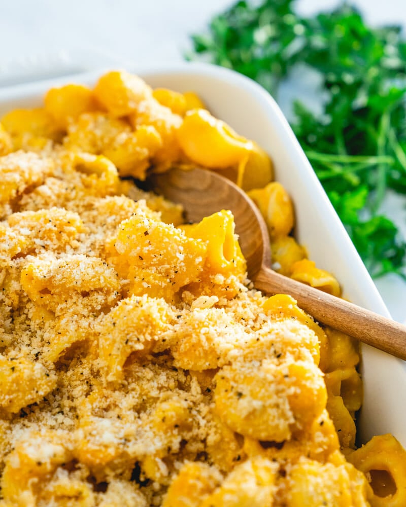 Butternut squash mac and cheese