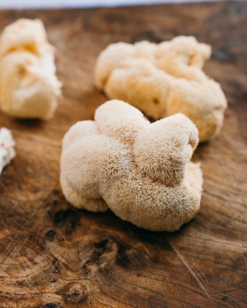 Lion's mane mushroom