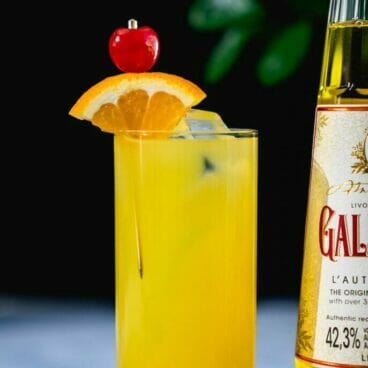 Harvey Wallbanger