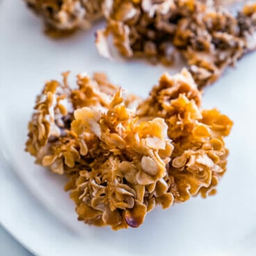 Hen of the Woods mushroom
