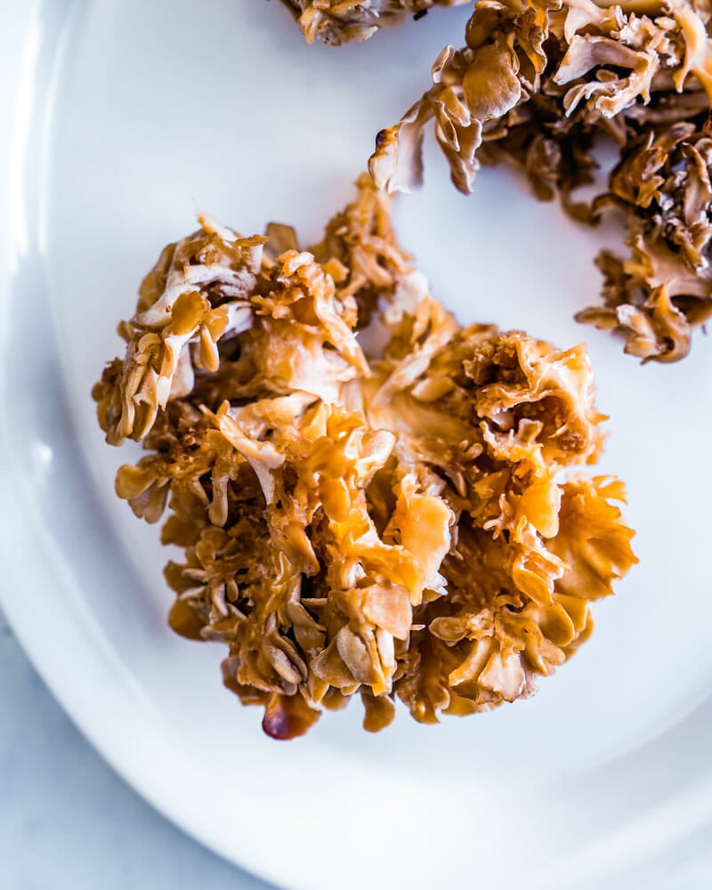 Hen of the woods mushroom