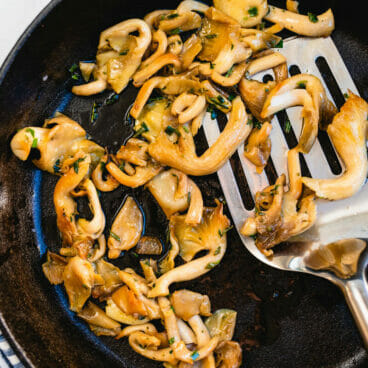Oyster mushrooms
