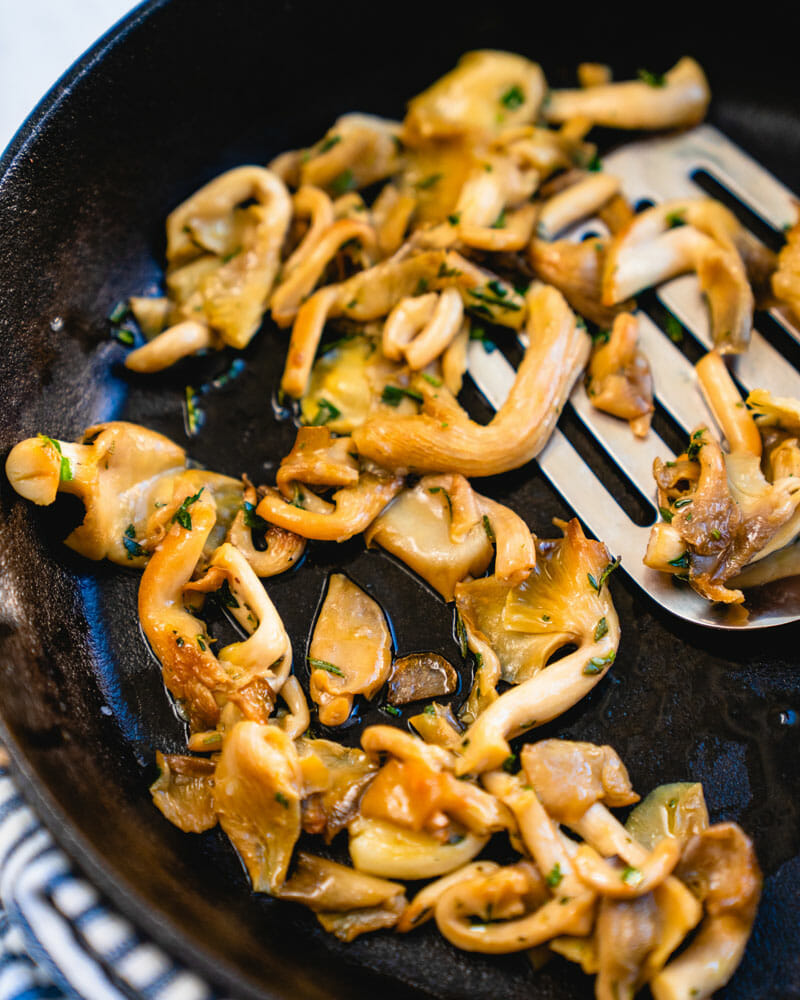 Oyster mushrooms recipe