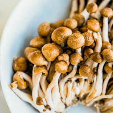 Beech mushrooms