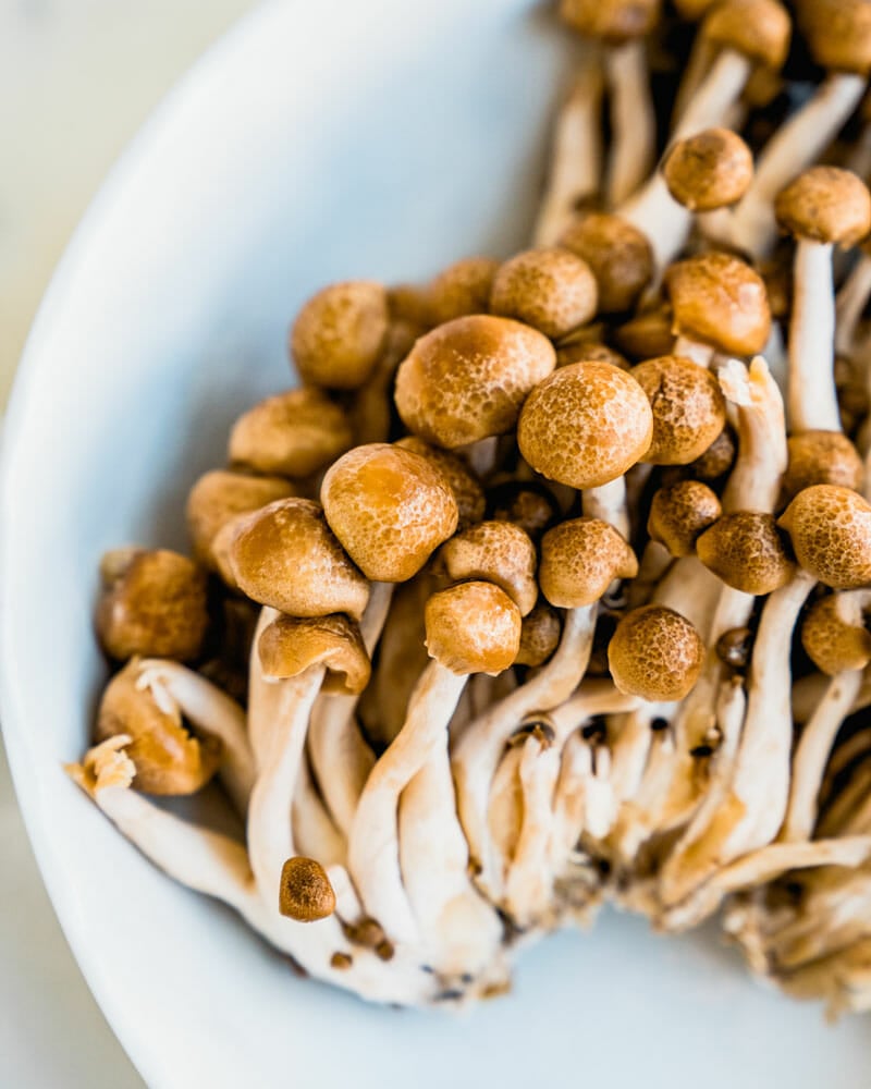 Beech mushrooms