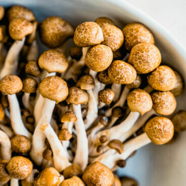 Beech mushrooms