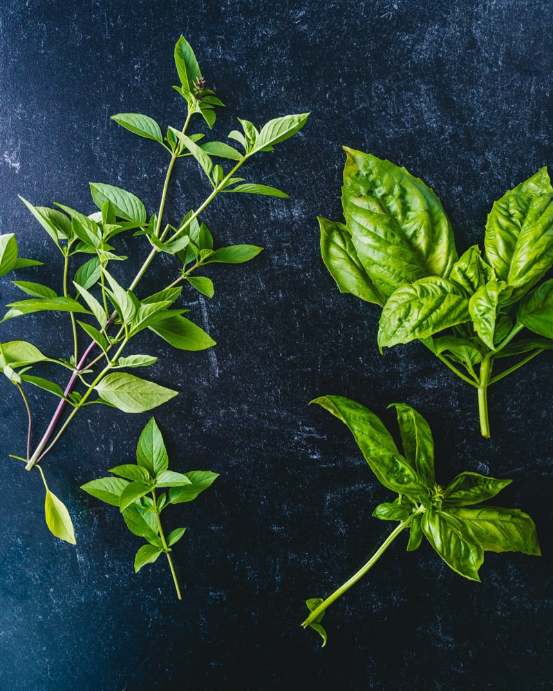 Thai Basil vs Basil