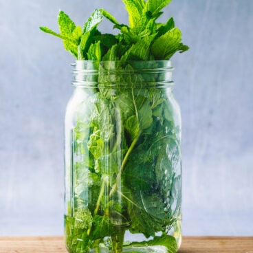 How to store fresh mint