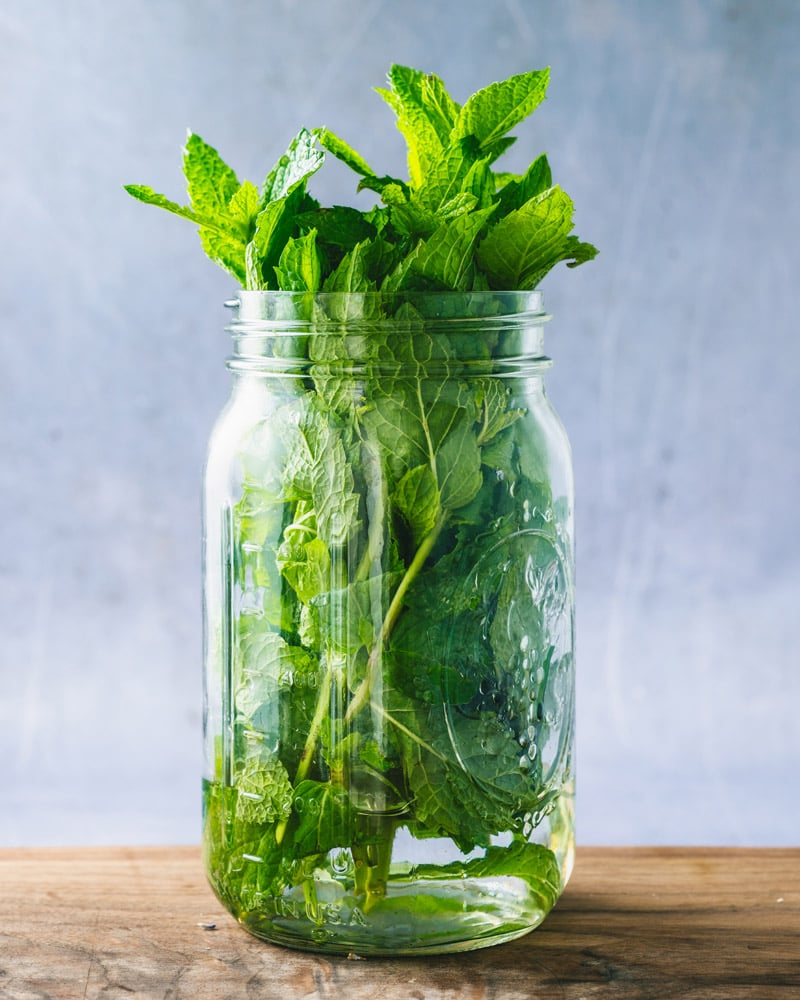 How to store fresh mint