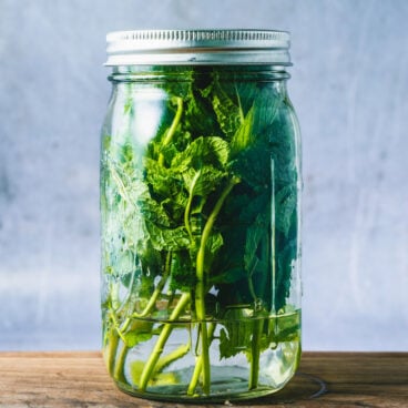 How to Store Mint