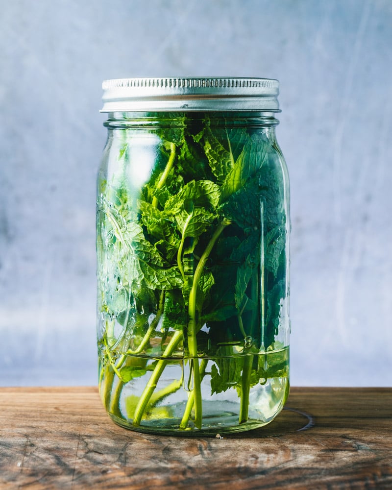 How to Store Mint