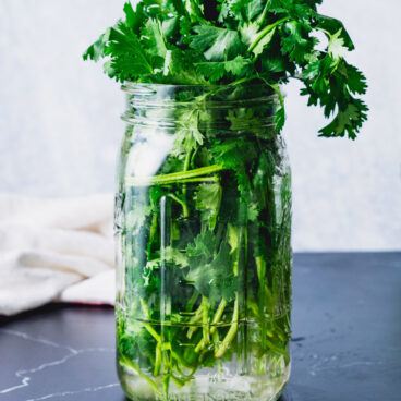 How to store cilantro