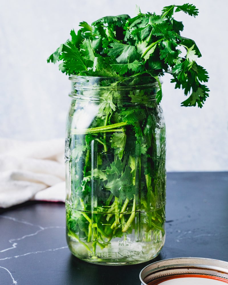 How to store cilantro