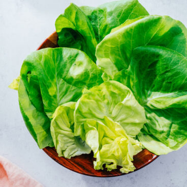 Butter Lettuce; Bibb Lettuce