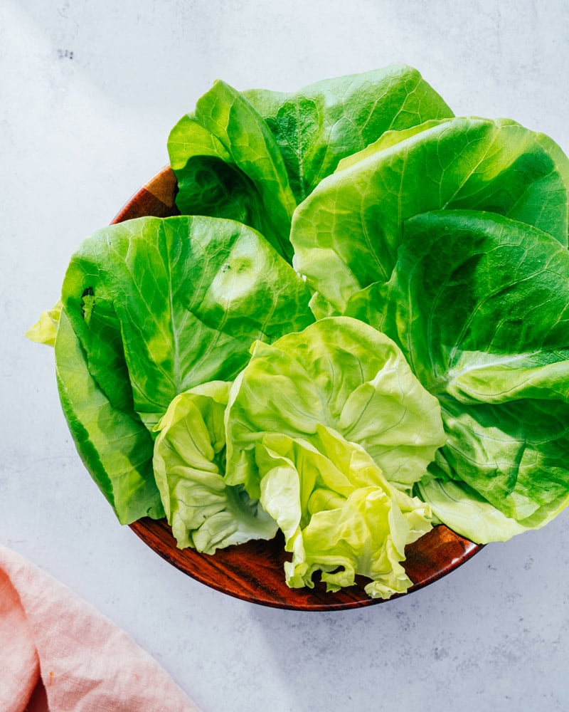 Butter Lettuce; Bibb Lettuce
