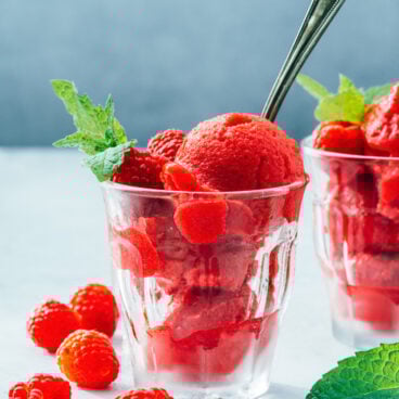 Raspberry Sorbet