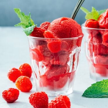 Raspberry sorbet