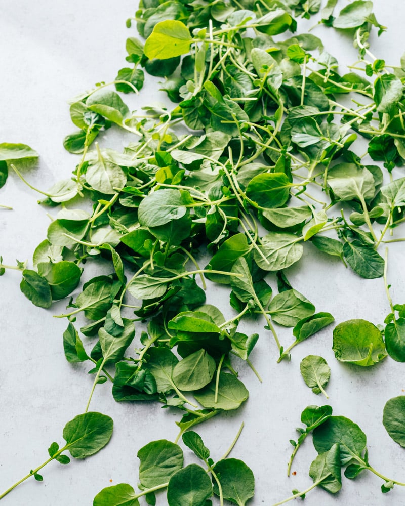 Watercress