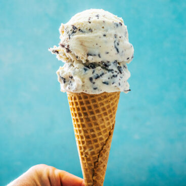Chocolate Chip Ice Cream