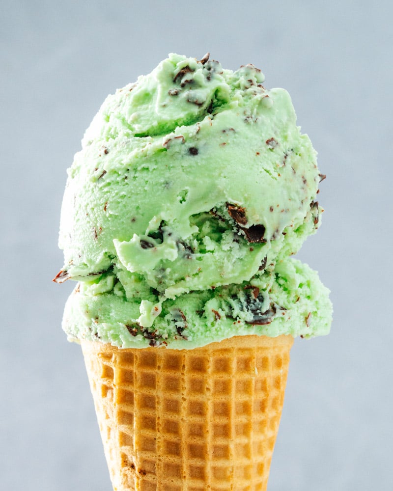 Mint Chocolate Chip Ice Cream
