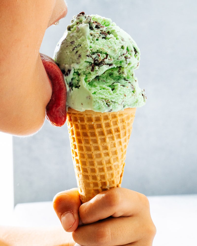 Mint Chocolate Chip Ice Cream
