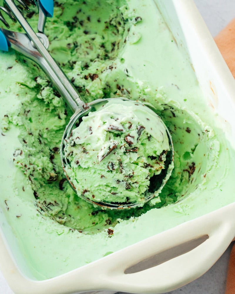 Mint Chocolate Chip Ice Cream