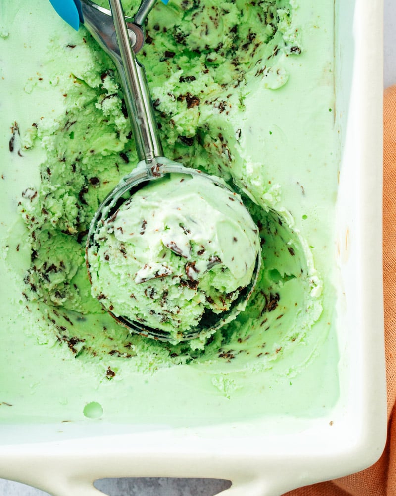 Mint Chocolate Chip Ice Cream