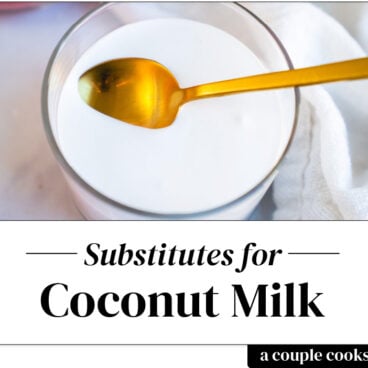 Coconut milk substitute