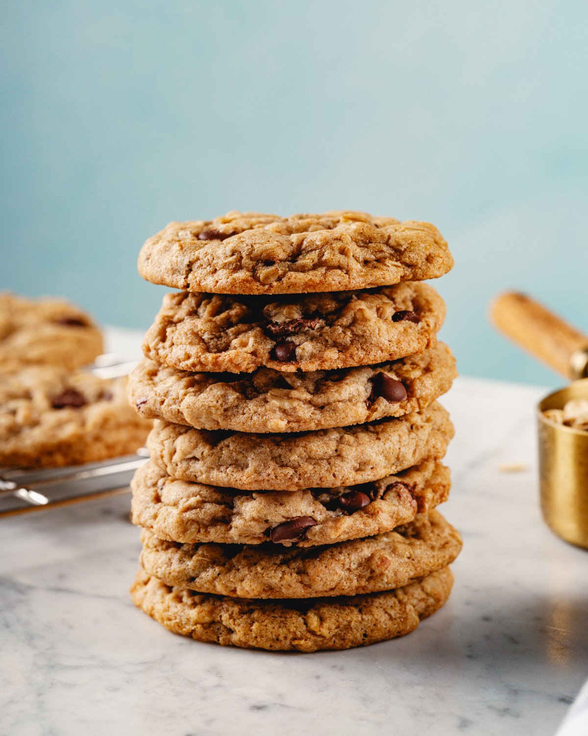 Vegan Oatmeal Chocolate Chip Cookies