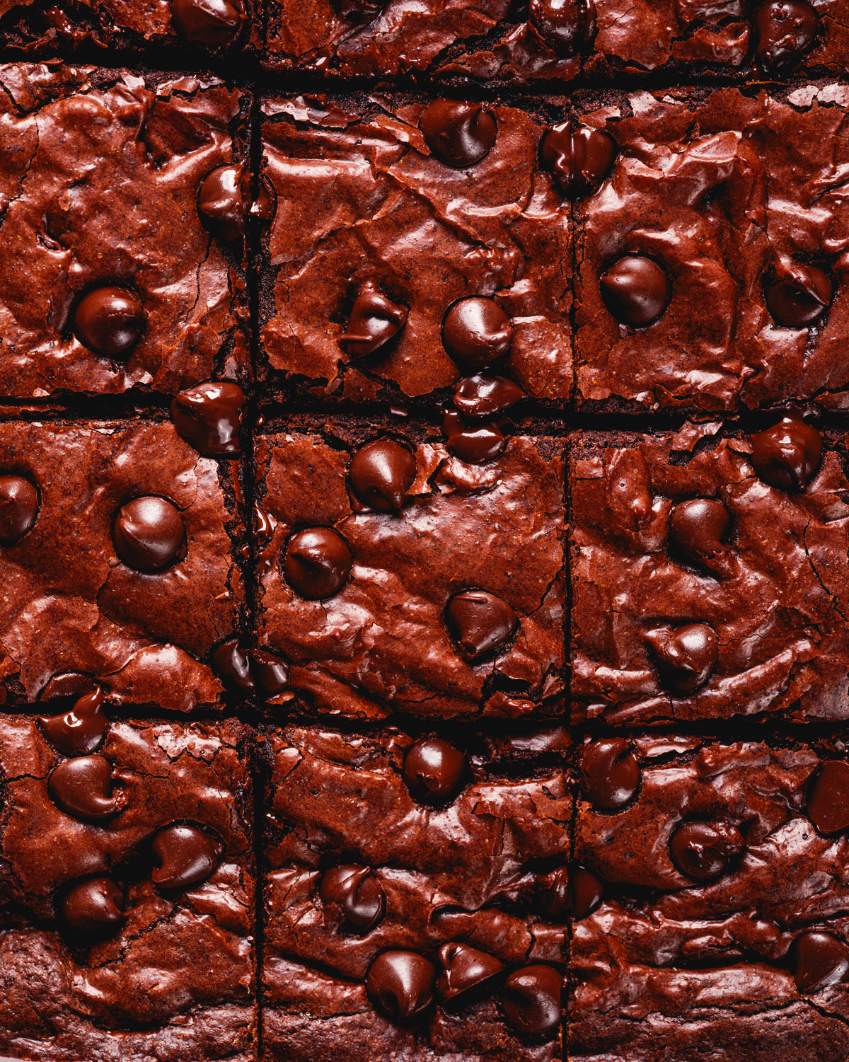 Fudgy olive oil brownies close up shot.
