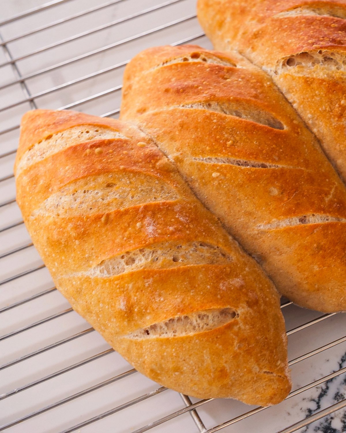 Sub sandwich rolls
