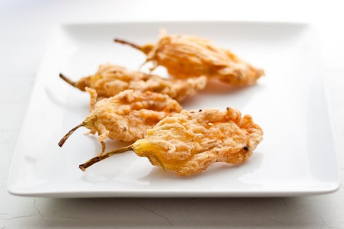 fried zucchini flowers
